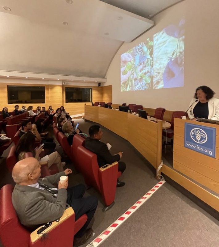 Sesion en la FAO, foto de presentadora y audiencia